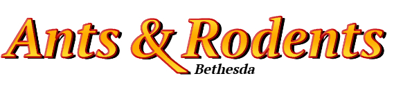 Bethesda Ant Exterminator & Rodent Control Company Logo